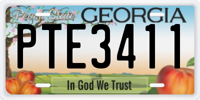 GA license plate PTE3411