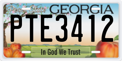 GA license plate PTE3412