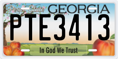 GA license plate PTE3413