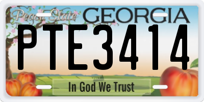 GA license plate PTE3414