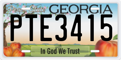 GA license plate PTE3415