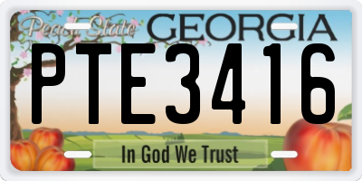 GA license plate PTE3416