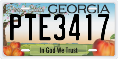 GA license plate PTE3417
