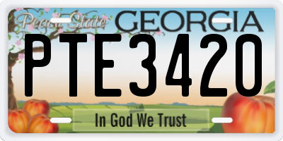 GA license plate PTE3420