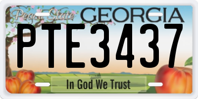 GA license plate PTE3437