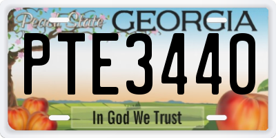 GA license plate PTE3440
