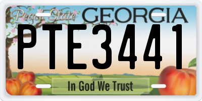 GA license plate PTE3441