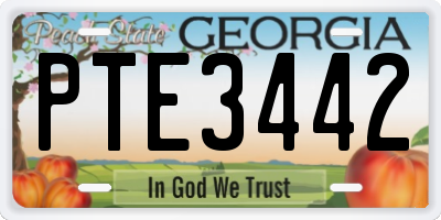 GA license plate PTE3442