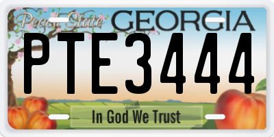 GA license plate PTE3444