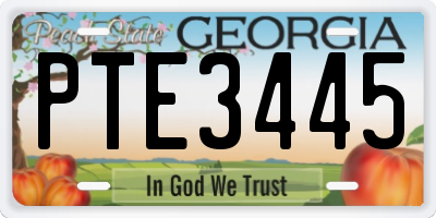 GA license plate PTE3445