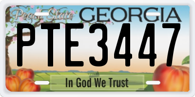 GA license plate PTE3447