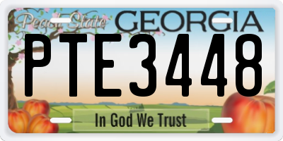 GA license plate PTE3448