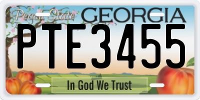 GA license plate PTE3455
