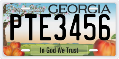 GA license plate PTE3456