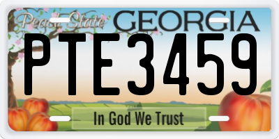 GA license plate PTE3459