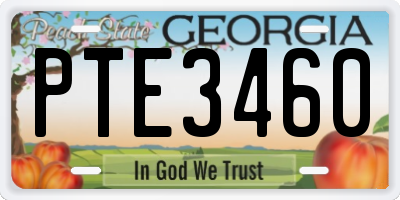 GA license plate PTE3460