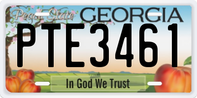 GA license plate PTE3461