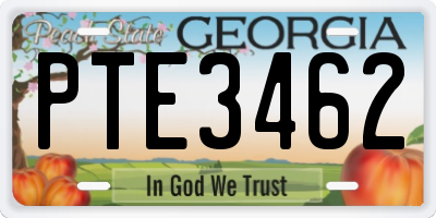 GA license plate PTE3462