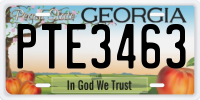 GA license plate PTE3463