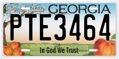 GA license plate PTE3464
