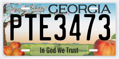 GA license plate PTE3473