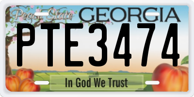 GA license plate PTE3474