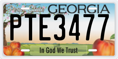 GA license plate PTE3477