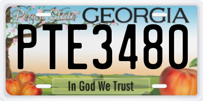 GA license plate PTE3480