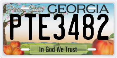 GA license plate PTE3482