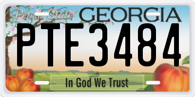 GA license plate PTE3484