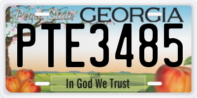 GA license plate PTE3485