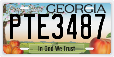 GA license plate PTE3487