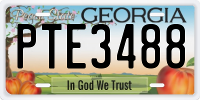 GA license plate PTE3488