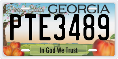 GA license plate PTE3489