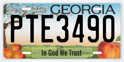 GA license plate PTE3490