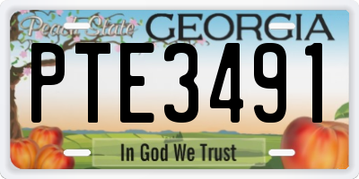 GA license plate PTE3491