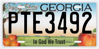 GA license plate PTE3492