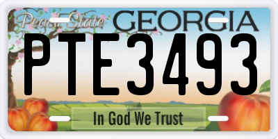 GA license plate PTE3493