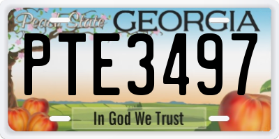 GA license plate PTE3497