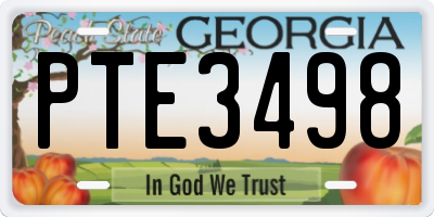 GA license plate PTE3498