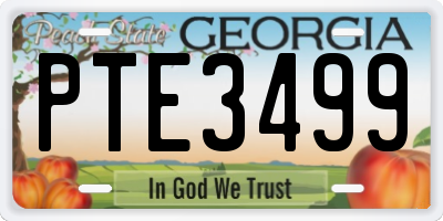 GA license plate PTE3499