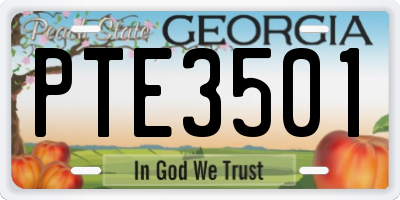 GA license plate PTE3501