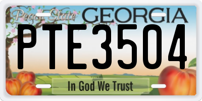 GA license plate PTE3504