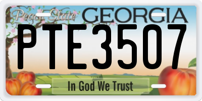 GA license plate PTE3507