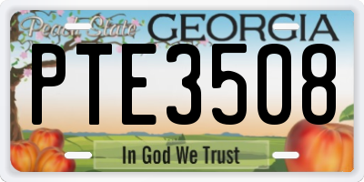 GA license plate PTE3508