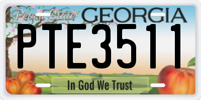 GA license plate PTE3511