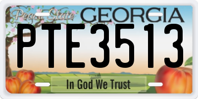 GA license plate PTE3513