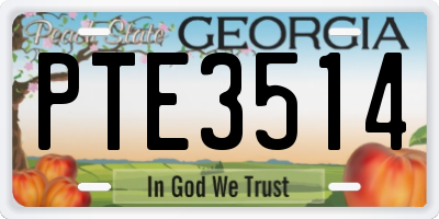 GA license plate PTE3514