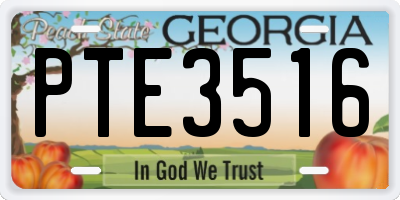GA license plate PTE3516
