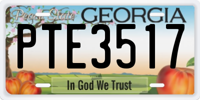 GA license plate PTE3517